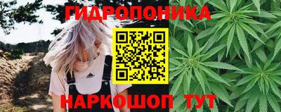 spice Кинель